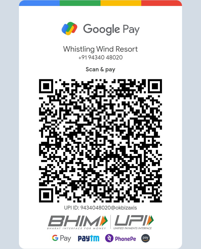 Online Payment